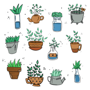 Plant Stickers